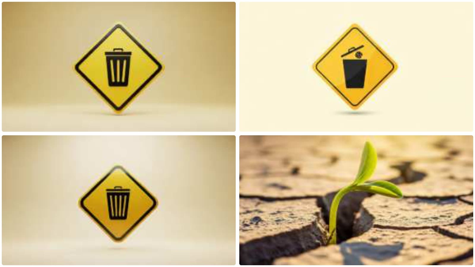 Green Hope, Yellow Warning