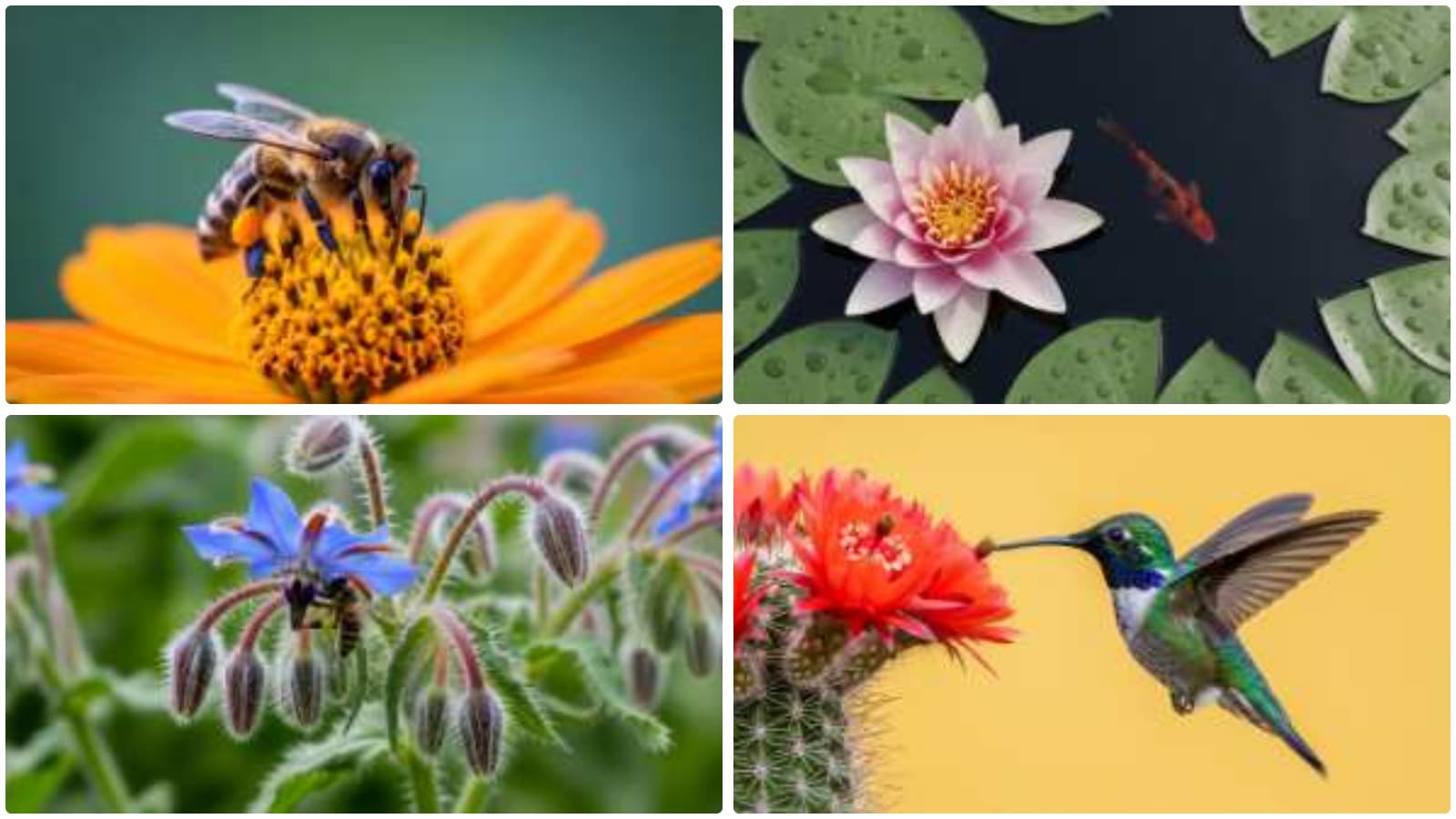 Tiny Wonders, Vibrant Blooms