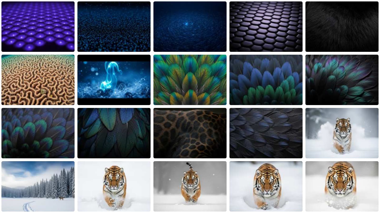 Wild Kingdom Collection